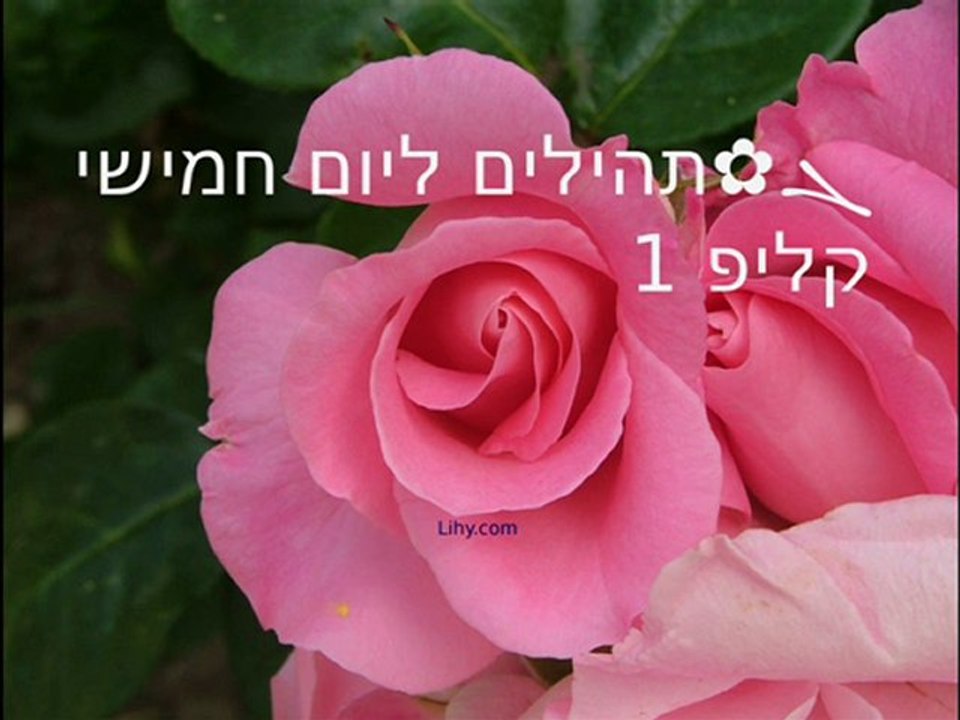 ܓ✿תהילים ליום 5 חמישי, קליפ 1/3