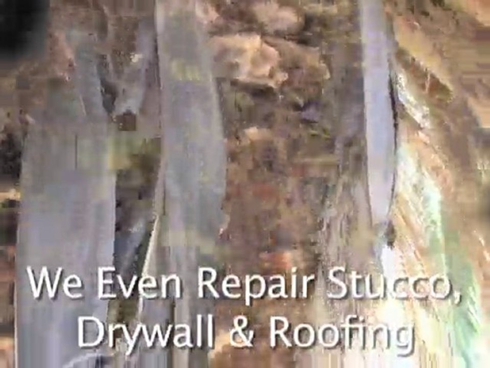 Los Angeles Bee Removal | Bee Removal Services |Bee Catchers