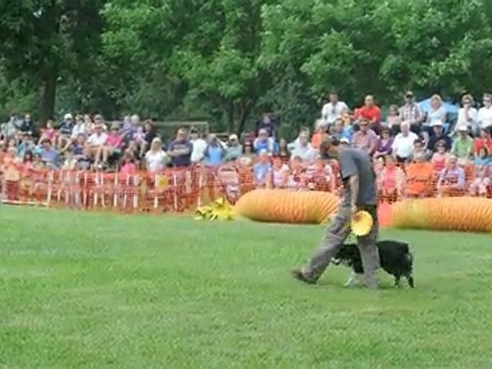 Fete de la Famille Trois-Rivieres 8 Aout 2010 Agilités DOGS