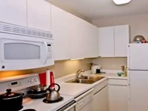 Homes for Sale - 440 N Wabash Ave Apt 4808 - Chicago, IL 606