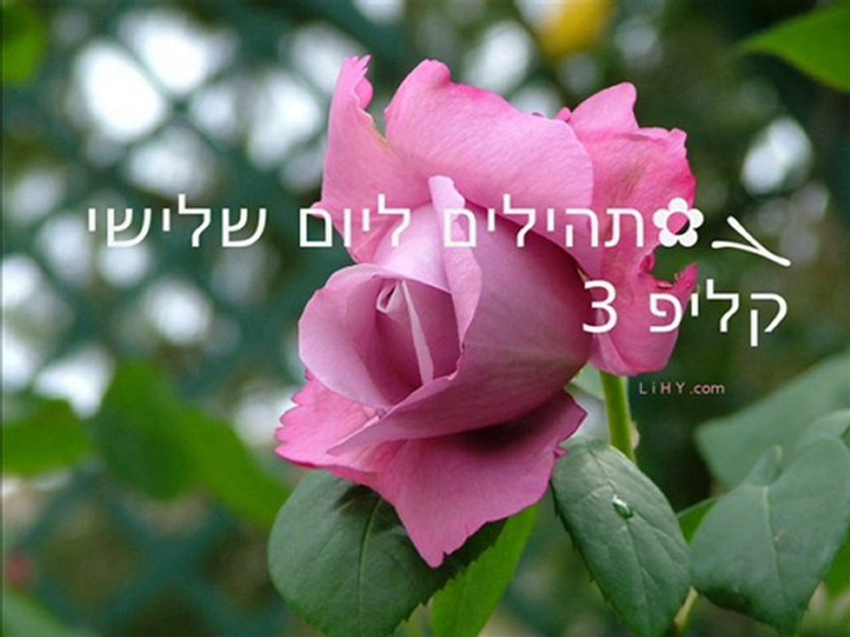 ܓ✿תהילים ליום 3 שלישי, קליפ 3/4