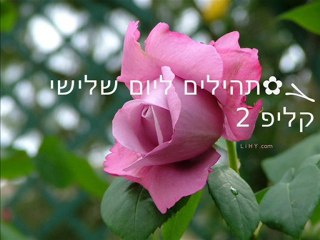 ܓ✿תהילים ליום 3 שלישי, קליפ 2/4