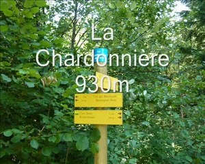 Rando VTT au col des Marchands