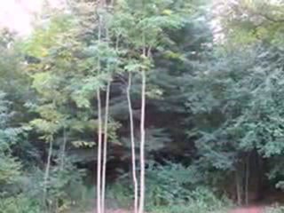 Homes for Sale - Lt2 E Lilac Ln - Fox Point, WI 53217 - Cold