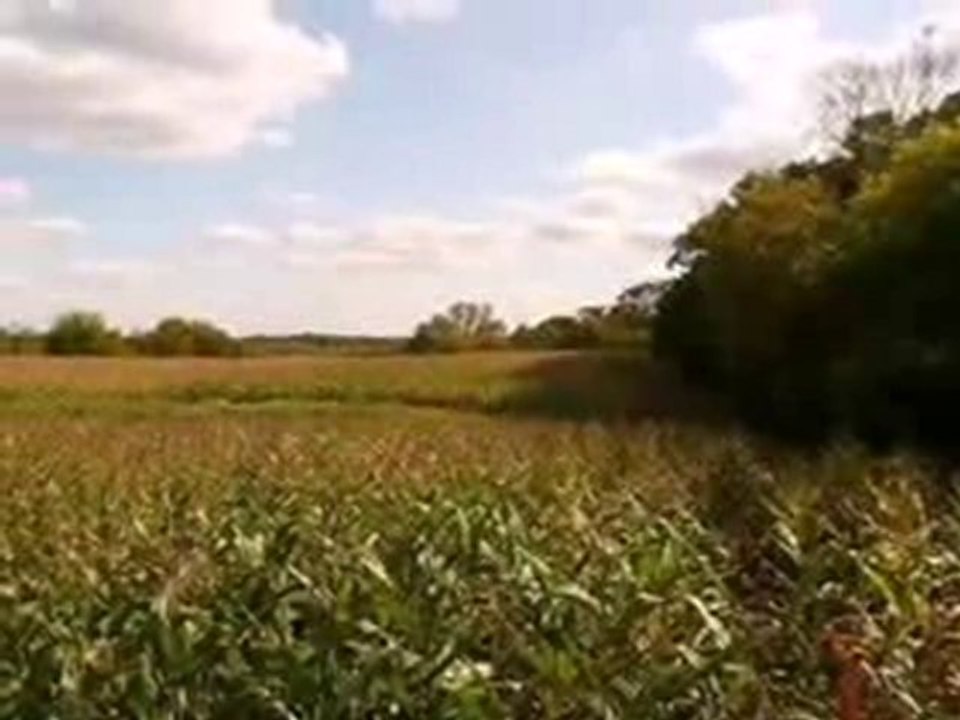 Homes for Sale - Lot 3 Lake Cook Road - Barrington Hills, IL