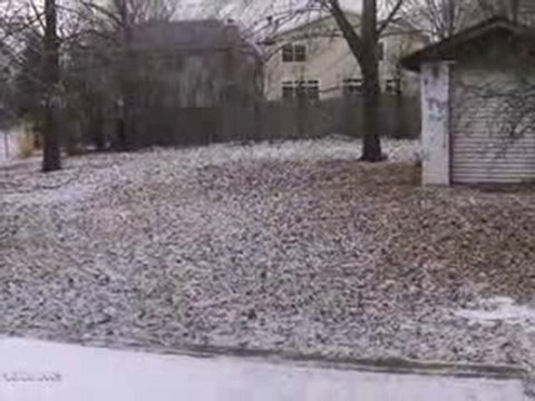 Homes for Sale - 4628 Stonewall Ave - Downers Grove, IL 6051