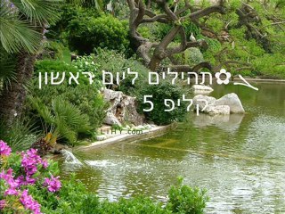 ܓ✿תהילים ליום 1 ראשון, קליפ 5/5