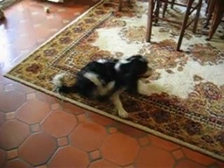 Photo 008