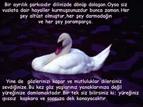 Rafet El Roman - Son Veda Dinle