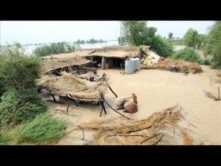 UN to launch appeal as Pakistan disaster deepens