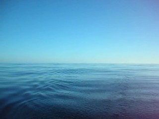 Les baleines accompagnent Mataiva