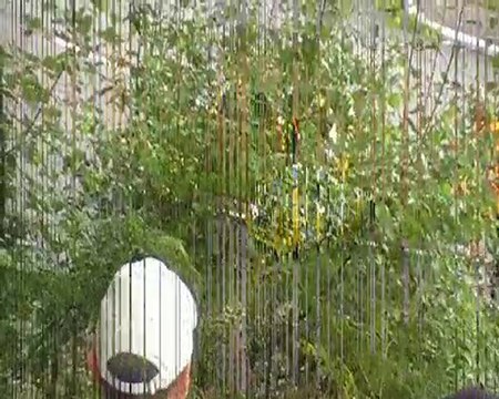 Course de Côte du Mont de Fourche 2010