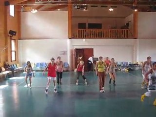 arcs 2010 new style pen2.