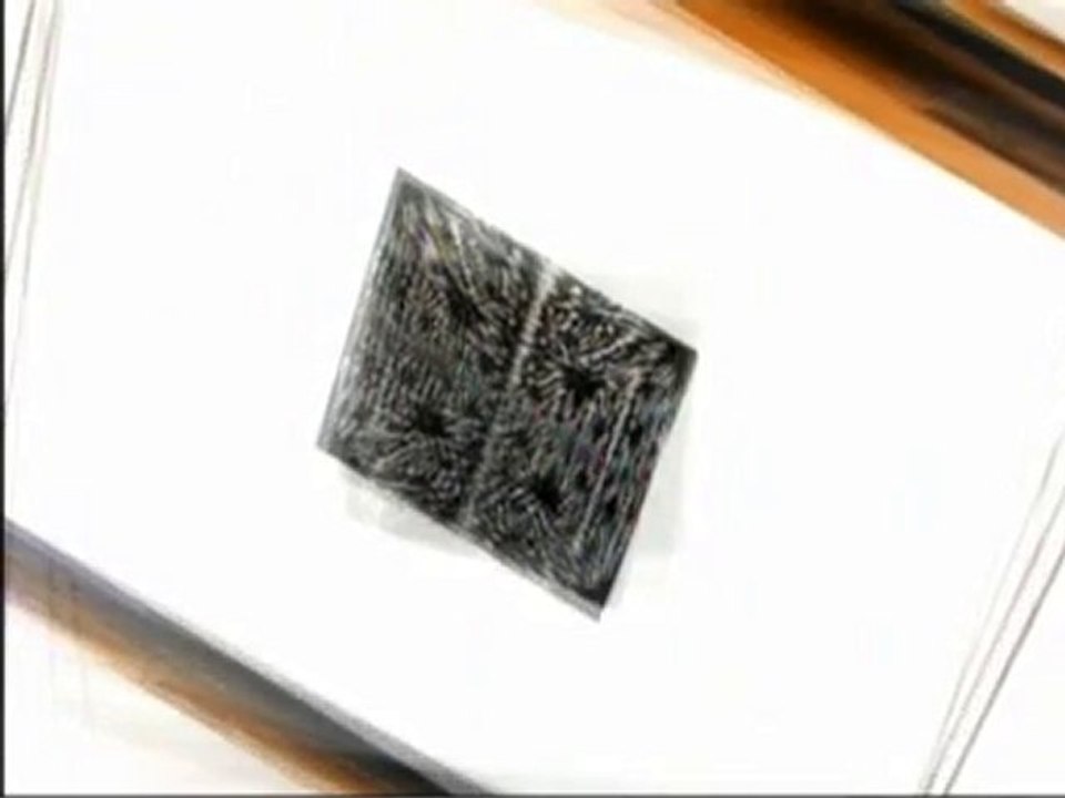 Beak -  Ears Have Ears