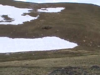 VACANCES - 28/06/2010 - Etang de Creussans + Peyreguils