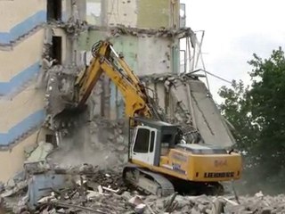 Démolition Cèdre Bleu à Nancy