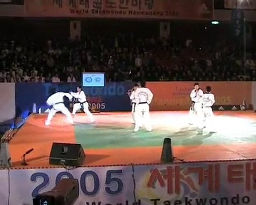 taekwondo démonstration hanmadang 2005