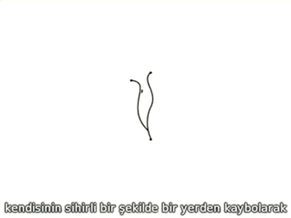 10 boyut