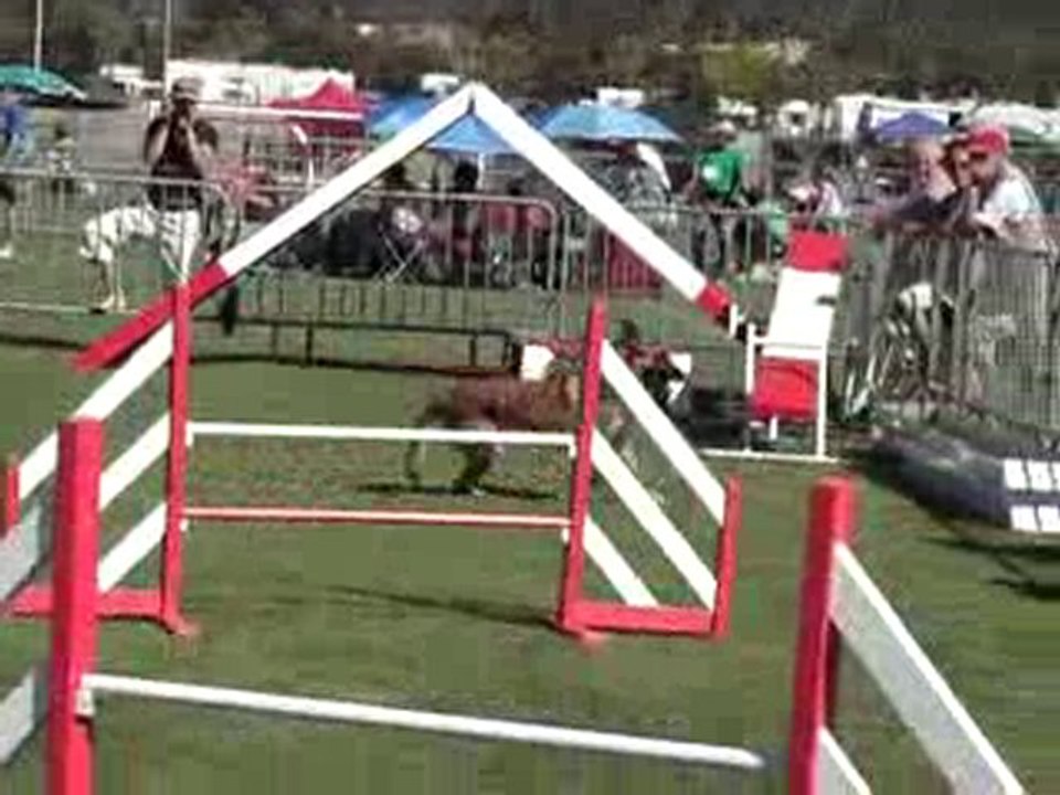 viet jump trophée 2010