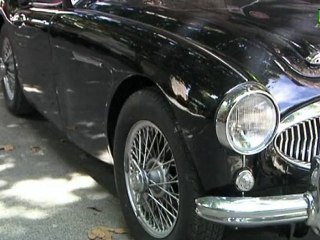 AUSTIN HEALEY' VIDEO STORY