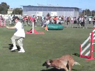 vee jump trophée 2010