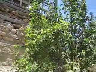 DOLHANLAR YUKARI MAH. CAMİ TAMİRAT