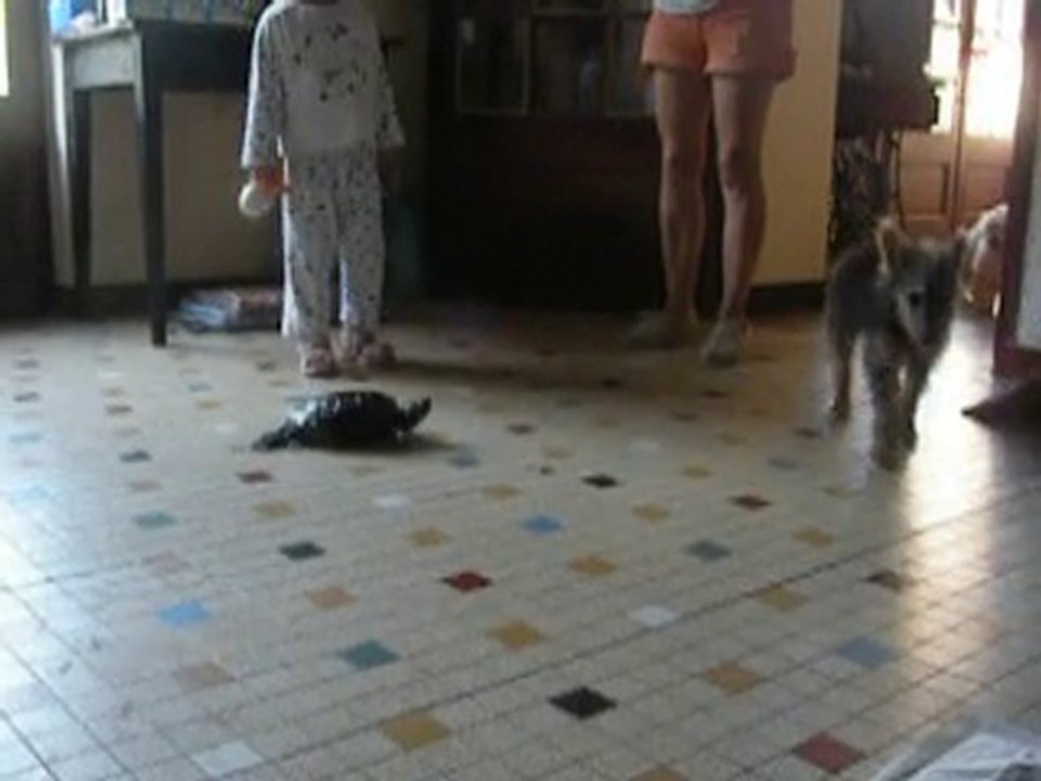 Mowgli découvre Yaya.