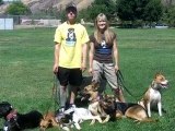 Yucaipa Dog Trainer, Dog Training Yucaipa, Dog Sitting Yuca