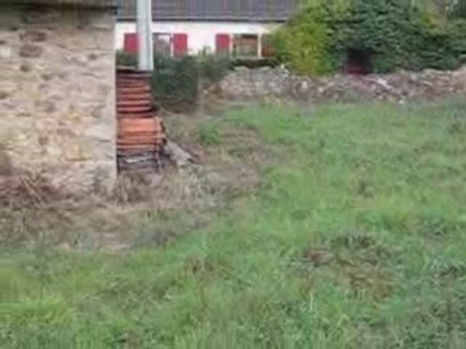 terrain et façade arrière