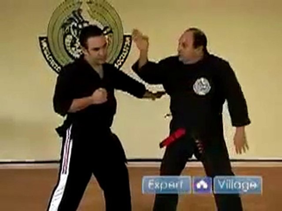 Kenpo Karate Snapping Twig Techniques