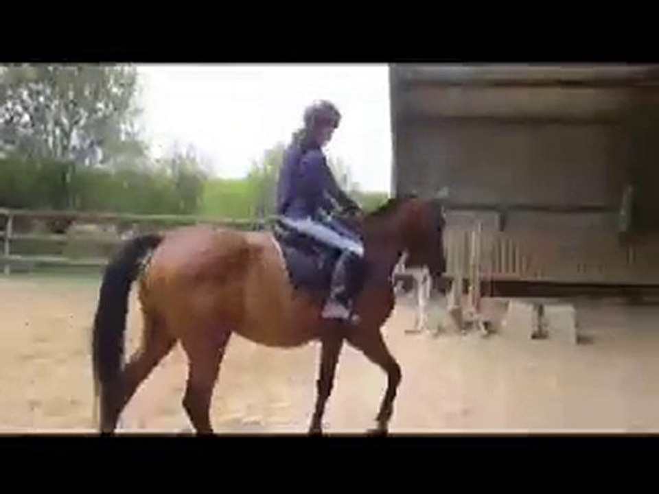 Perlani_100810