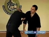 The Circling Wing Kenpo Karate Technique
