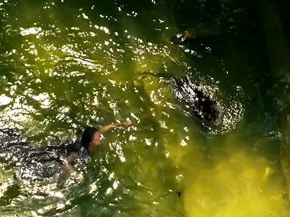 08 ESTRELLAS DEL BICENTENARIO  CHIAPAS  (TELEVISA)