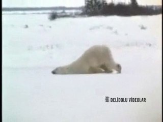 Cuma İle Pazartesi Arasındaki Fark -)