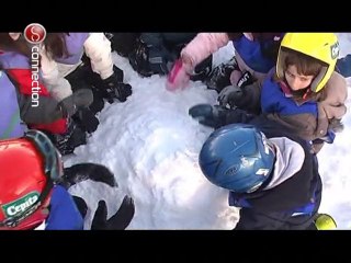 Connection Programa 84