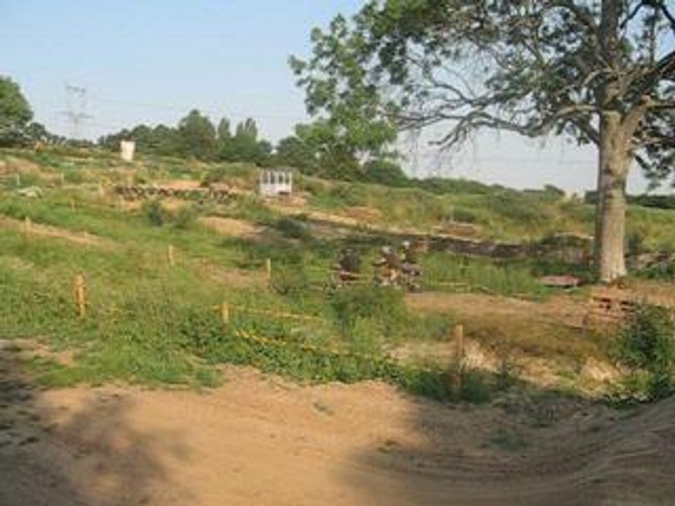 Les petites motos dans la prairie...