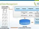 Data Cleansing, Integration & Data Quality Management with M