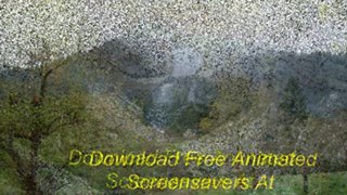 Download Free Animated Screensavers Forest Camp