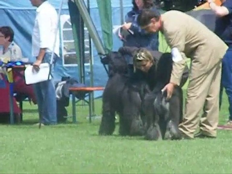 Donaueschingen Ausstellung und Urlaub