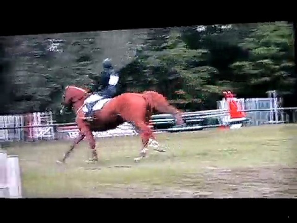 CCE Fontenay Hippique