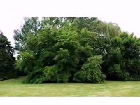 Homes for Sale - Lot #3 LAKESIDE Drive - Vernon Hills, IL 60