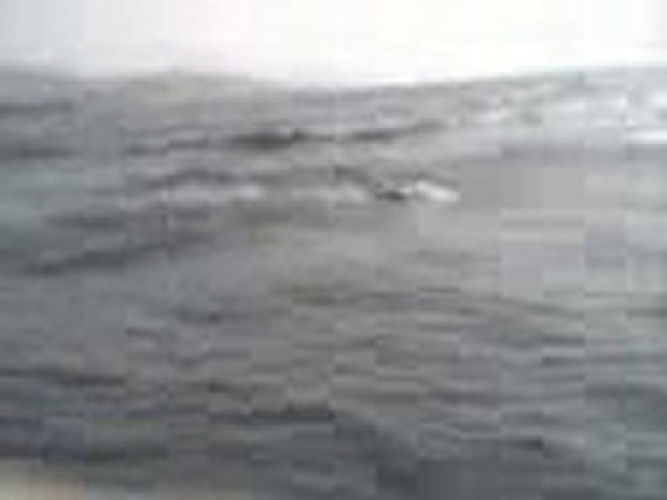 Dans une eau agitée