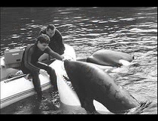 Free Willy 3 The Rescue (1997) Part 1 of 15