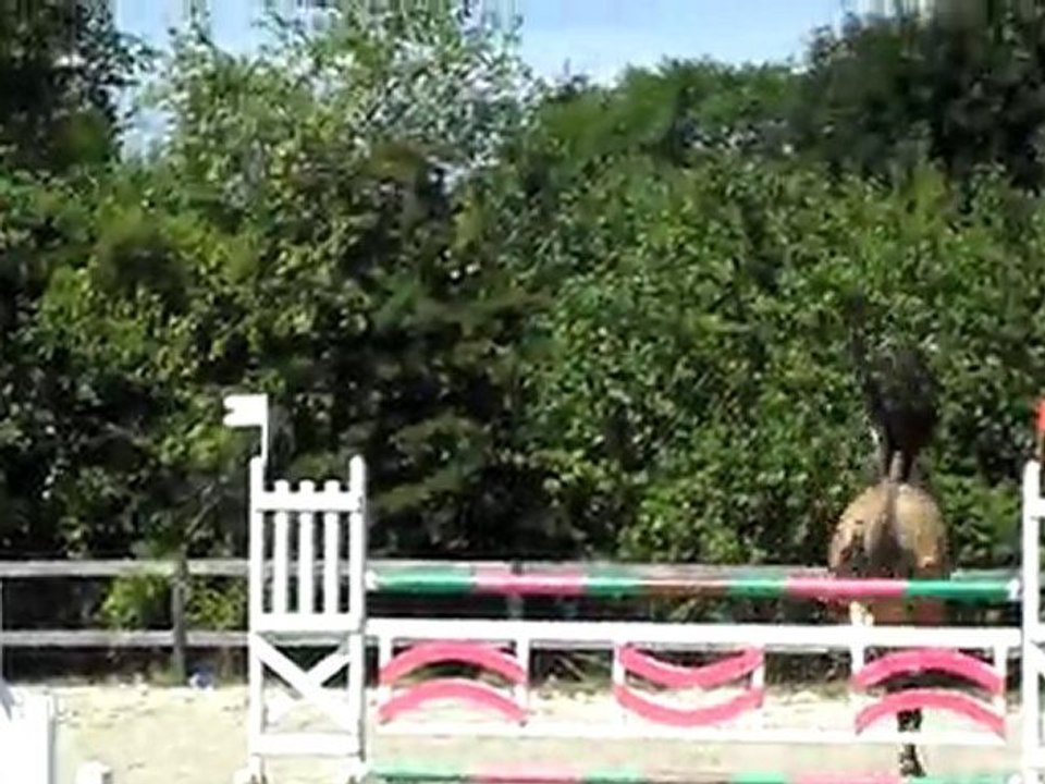 Paddynash d'Haryns