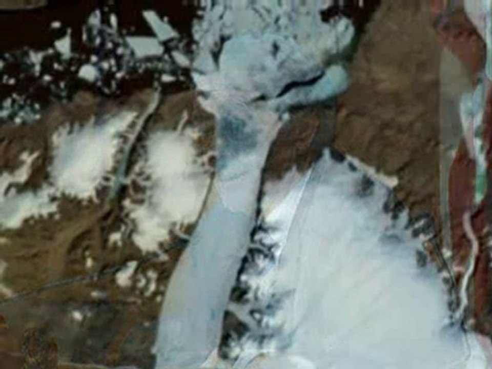 Ice island 'not proof' of global warming