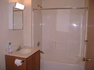 Homes for Sale - 4125 S Vincennes Ave # 1 - Chicago, IL 6065