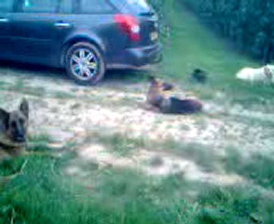 vicky berger allemand 6 ans