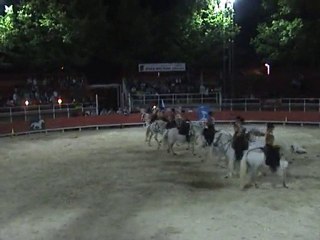 la grande motte 2010