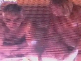 drame au concours de sauna en finlande