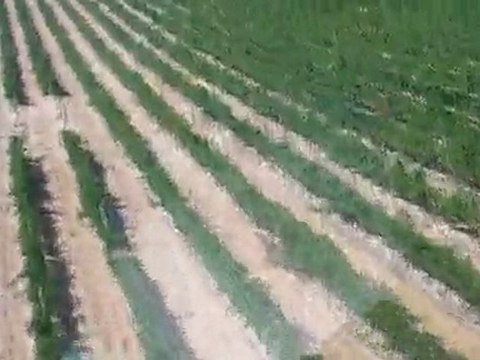 Touring the Languedoc-Roussillon by Air: Part 1